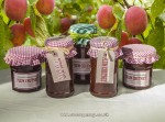 Make some sweet Plum Chutney
